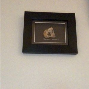 Meet your Posher, Elsa